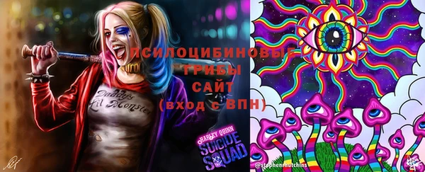 ПСИЛОЦИБИНОВЫЕ ГРИБЫ Алексин