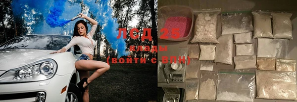 ПСИЛОЦИБИНОВЫЕ ГРИБЫ Алексин